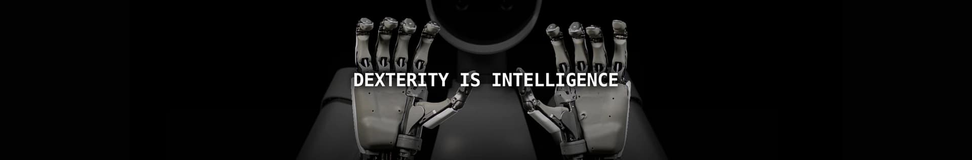 RLWRLD channel banner: two robot hands framing the line ‘Dexterity is intelligence’