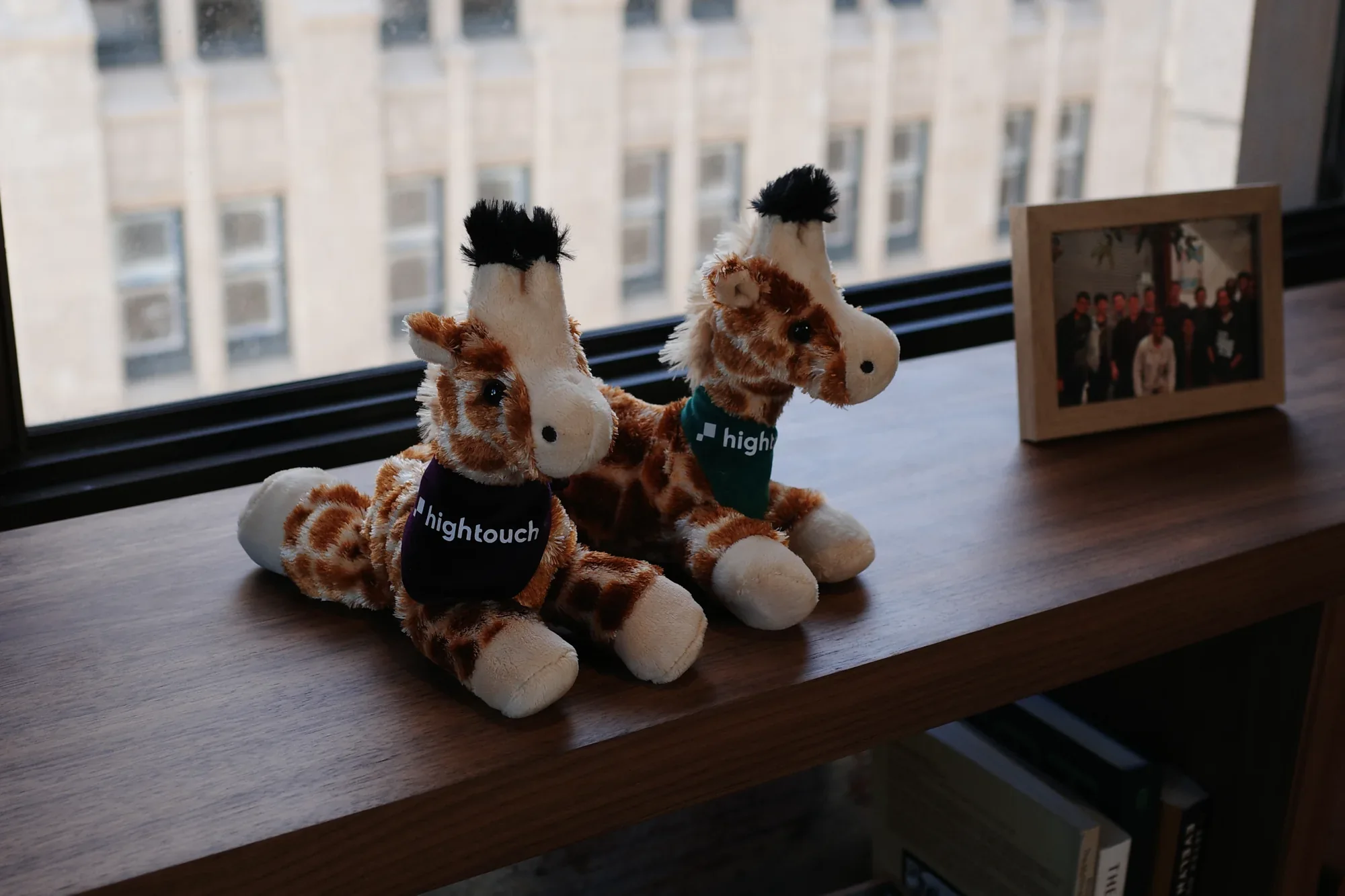 hightouch giraffes