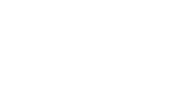 Motion template: name lower third