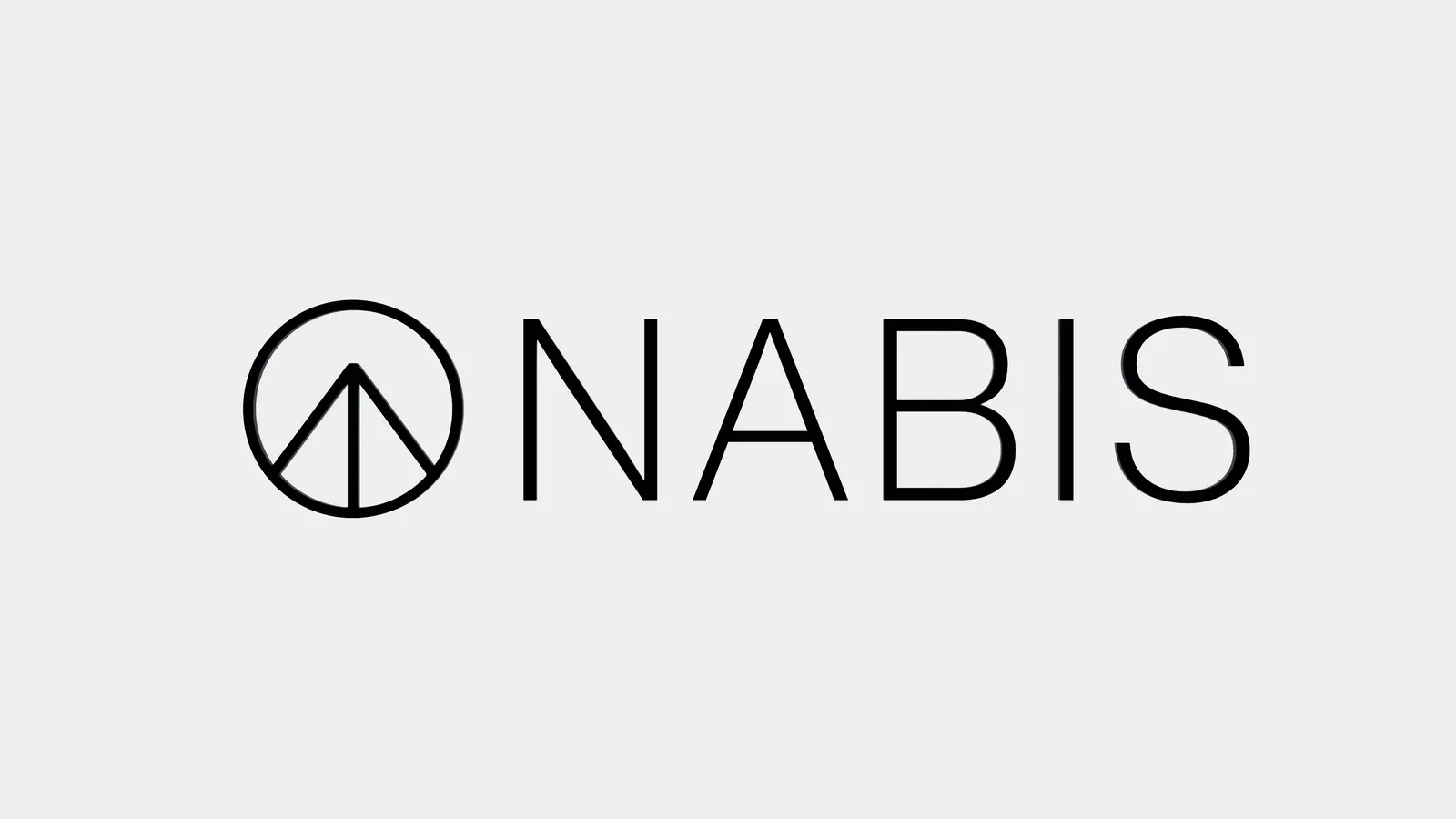 Frame from the NABIS IR video