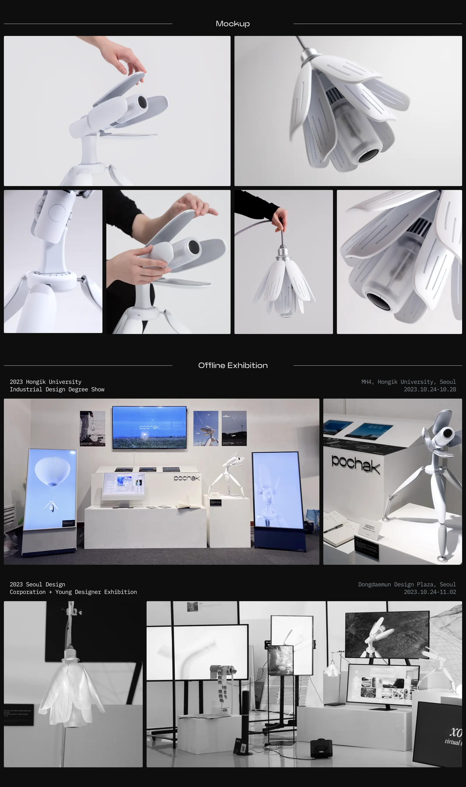 Pochak final presentation board