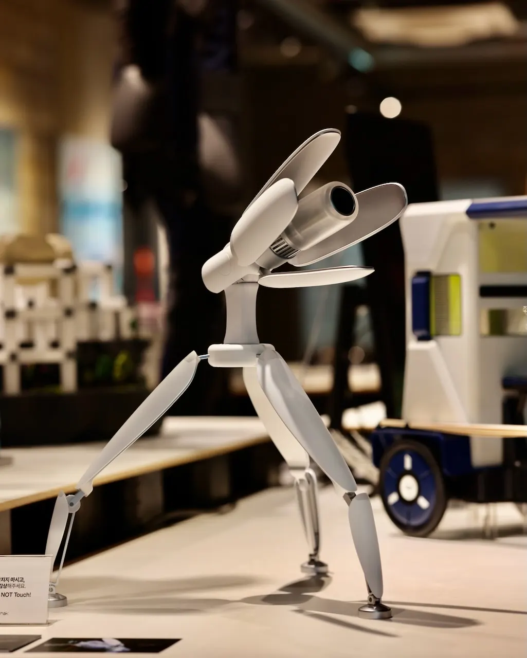 Pochak exhibited at the degree show